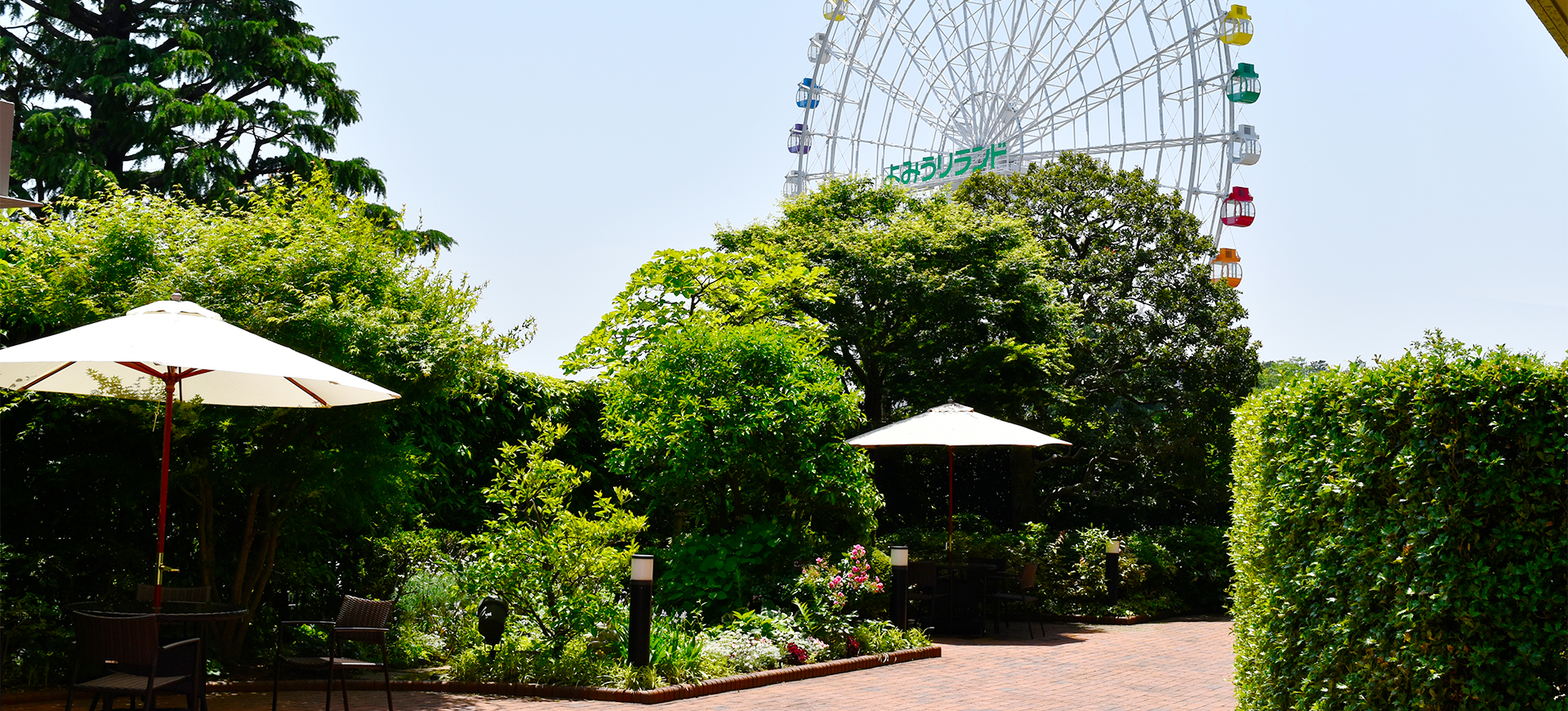 鑑賞をしている写真